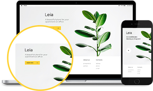 webdesign_homepage